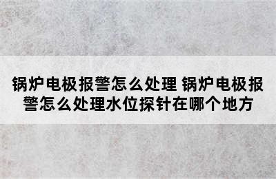 锅炉电极报警怎么处理 锅炉电极报警怎么处理水位探针在哪个地方